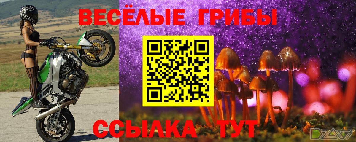 Галлюциногенные грибы GOLDEN TEACHER  закладки  Кириши  Вход с VPN 