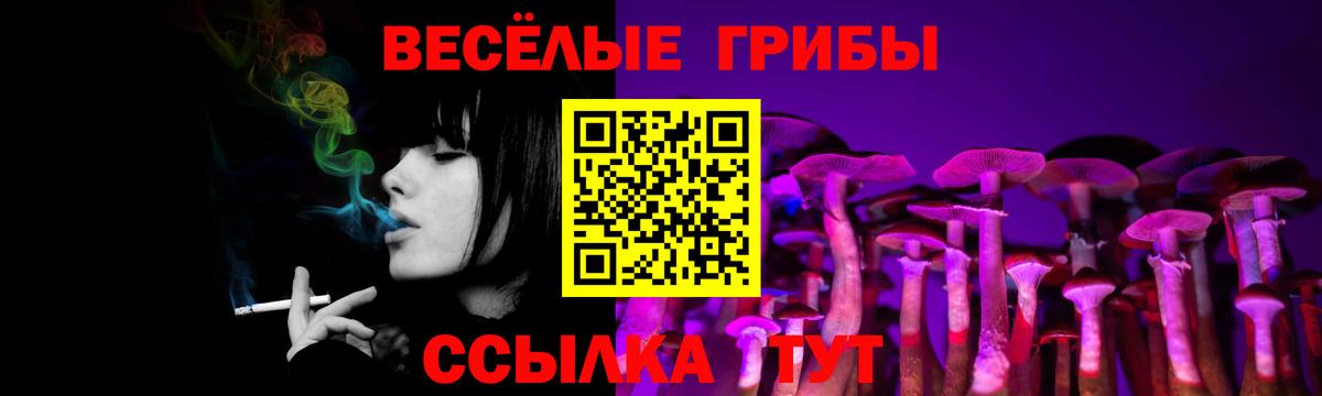Галлюциногенные грибы мицелий Кириши