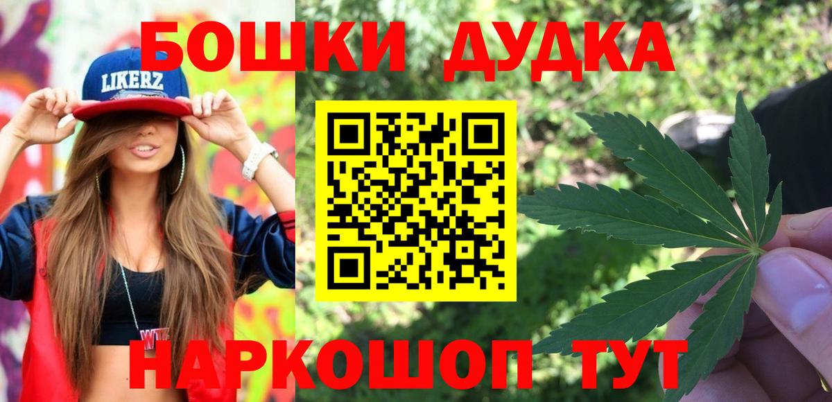 Канабис сатива  Марихуана планчик  Вход с VPN  Кириши 